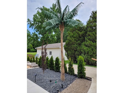 Faux Palm Trees for Backyard